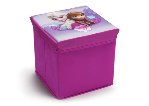 Frozen Collapsible Storage Ottoman